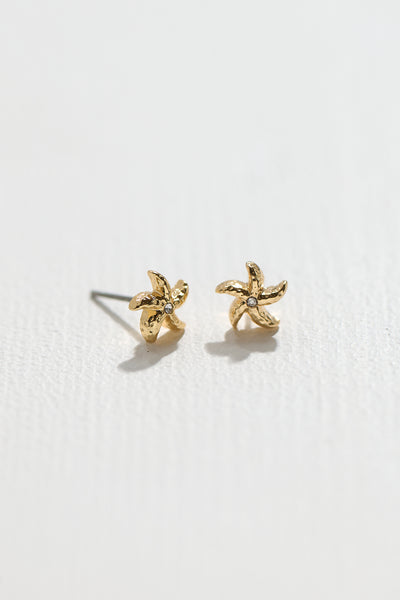 Starfish Earrings - Oakley