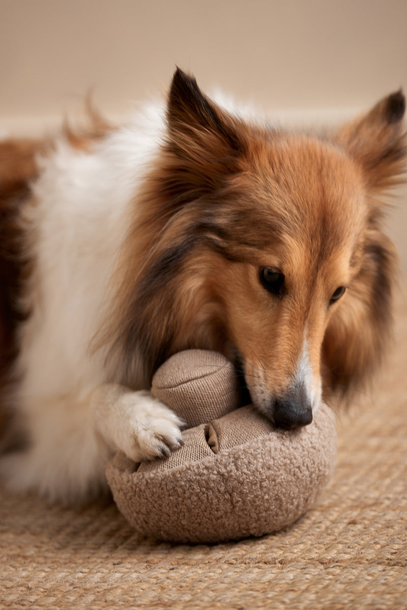 JEU-CHIEN-CHAMPIGNON-WOMANCE