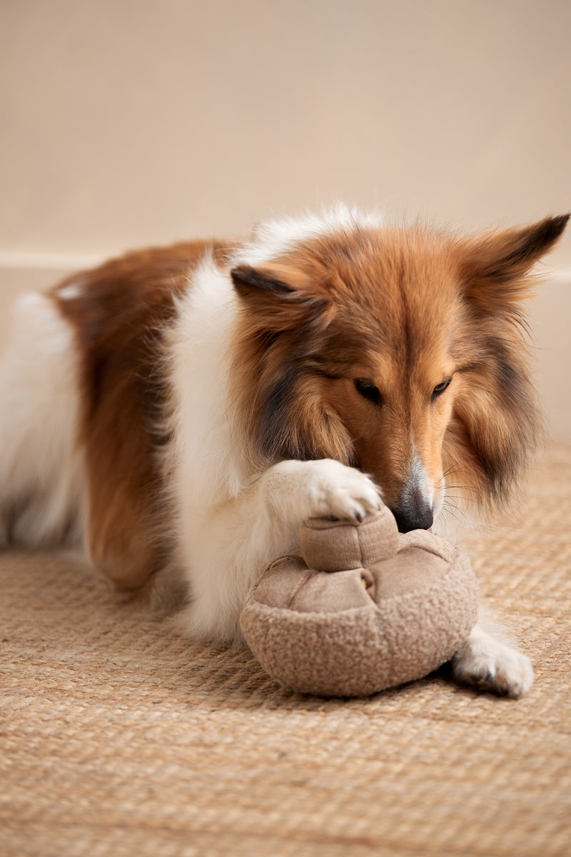 JEU-CHIEN-CHAMPIGNON-WOMANCE